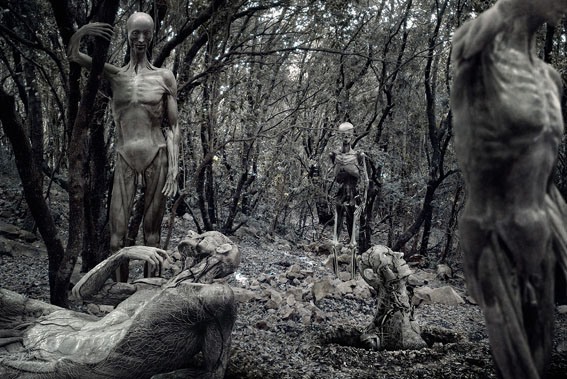 View larger image View larger image