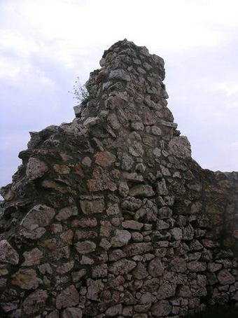 View larger image View larger image