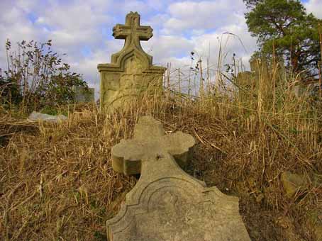 View larger image View larger image