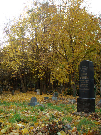 View larger image View larger image