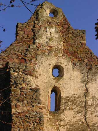 View larger image View larger image