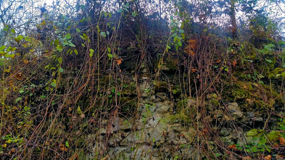 View larger image View larger image