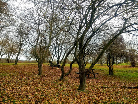 View larger image View larger image