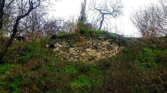 View larger image View larger image