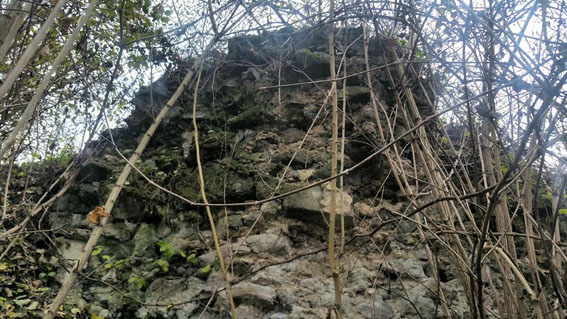 View larger image View larger image