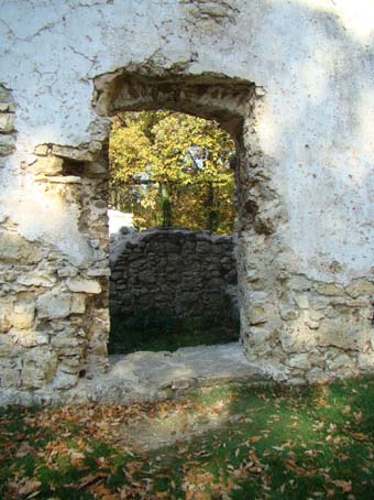 View larger image View larger image