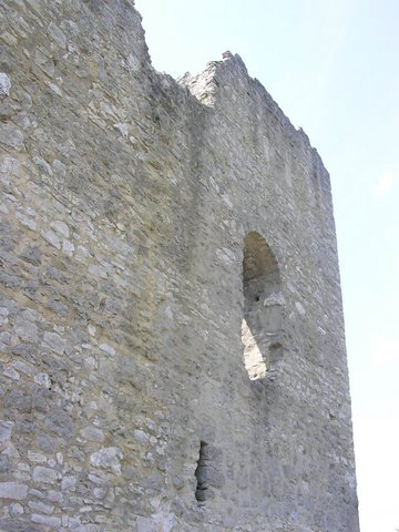 View larger image View larger image