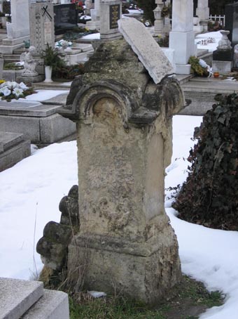 View larger image View larger image