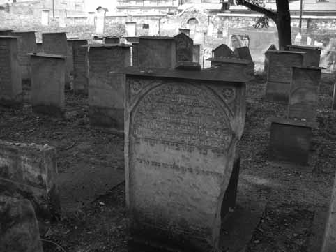 View larger image View larger image