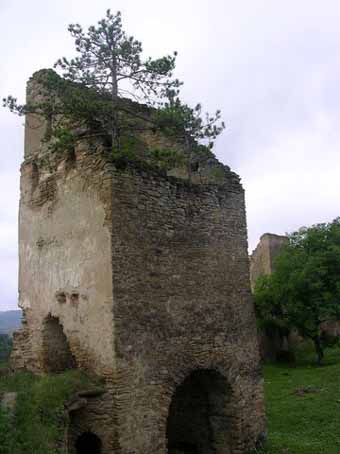 View larger image View larger image