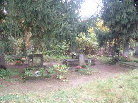 View larger image View larger image