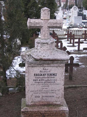 View larger image View larger image