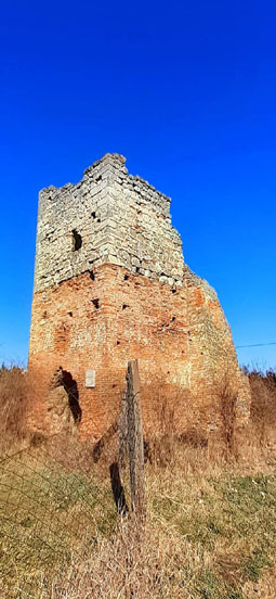 View larger image View larger image