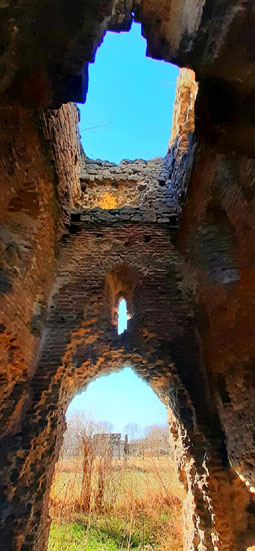 View larger image View larger image