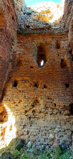 View larger image View larger image