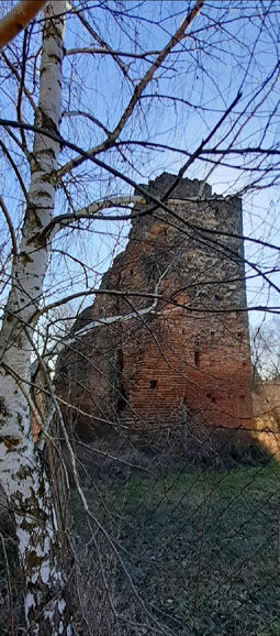 View larger image View larger image