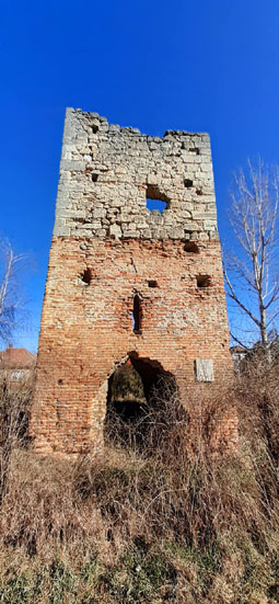 View larger image View larger image