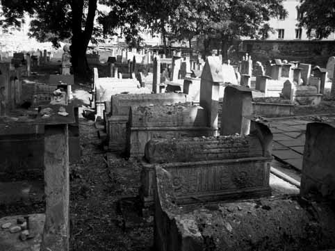 View larger image View larger image