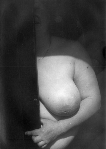 View larger image View larger image