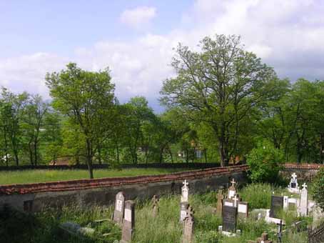 View larger image View larger image