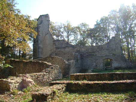 View larger image View larger image