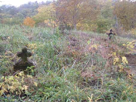 View larger image View larger image