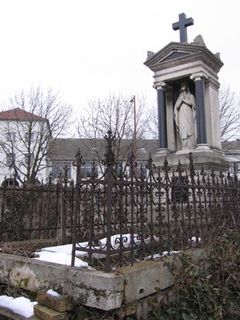 View larger image View larger image