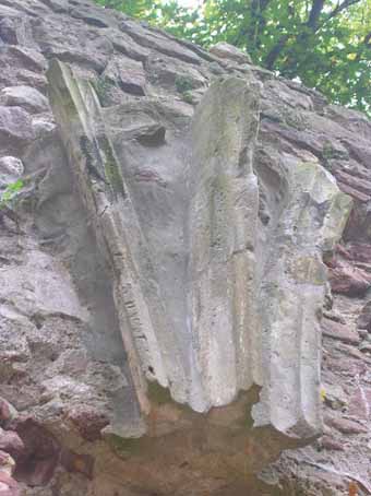 View larger image View larger image