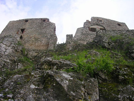 View larger image View larger image