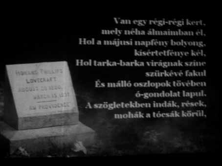 View larger image View larger image