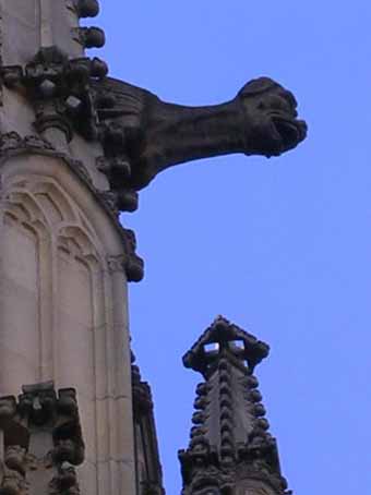 View larger image View larger image