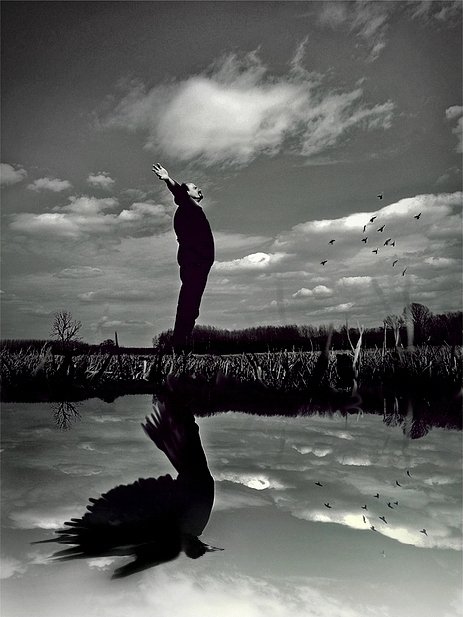 View larger image View larger image