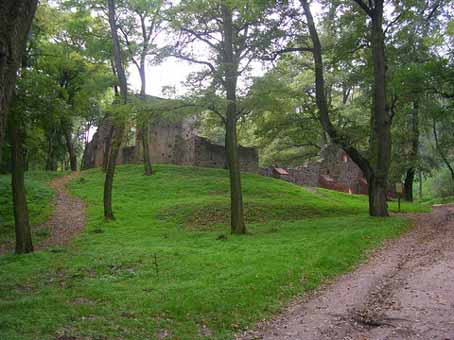 View larger image View larger image