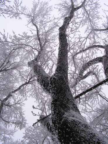 View larger image View larger image