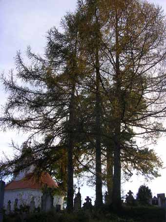 View larger image View larger image