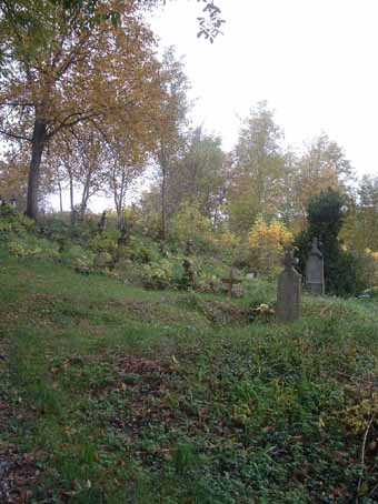 View larger image View larger image