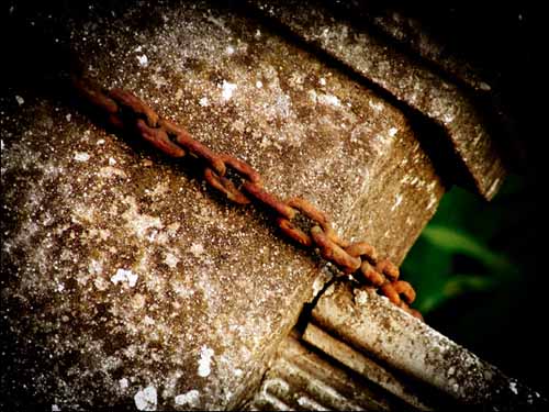 View larger image View larger image