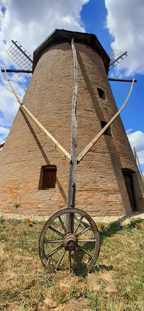 View larger image View larger image