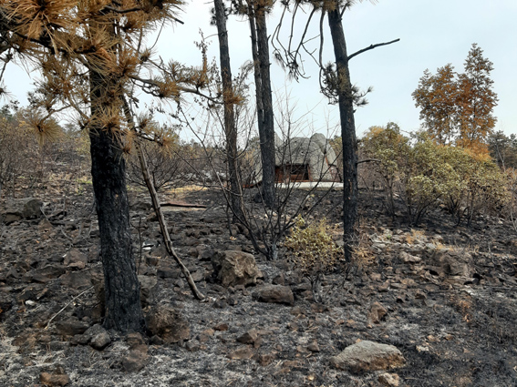 View larger image View larger image