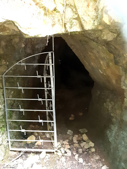 View larger image View larger image