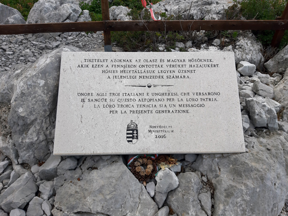 View larger image View larger image