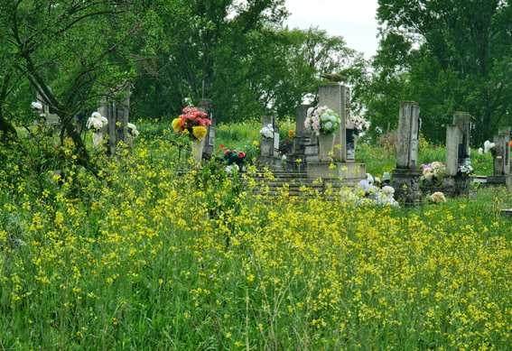 View larger image View larger image