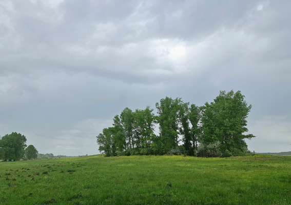 View larger image View larger image