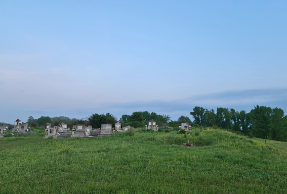 View larger image View larger image