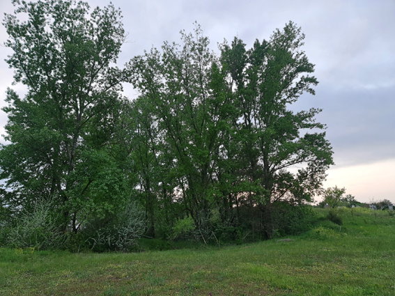 View larger image View larger image