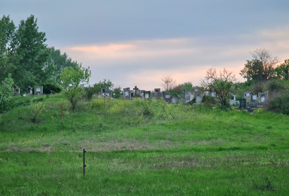 View larger image View larger image