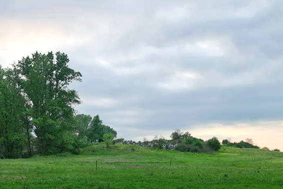 View larger image View larger image