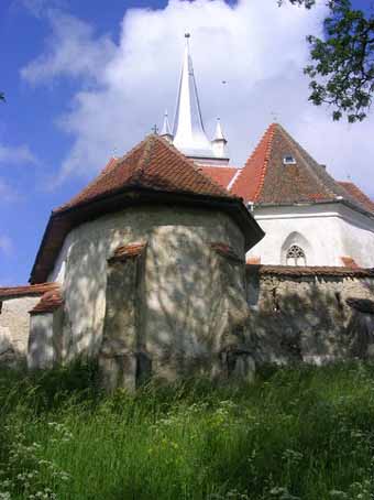 View larger image View larger image