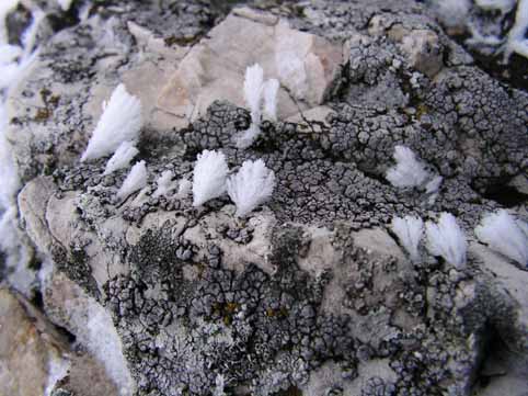 View larger image View larger image