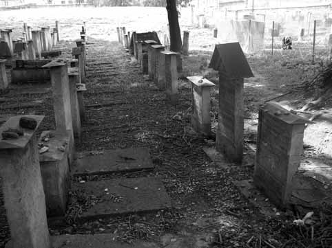 View larger image View larger image